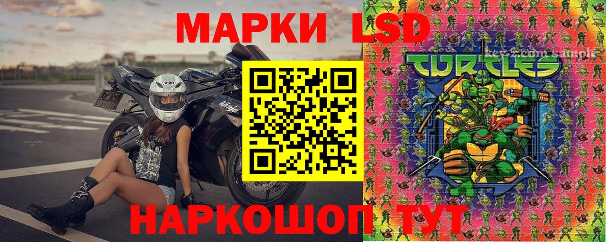 цены наркотик  Марки NBOMe 1500мкг  Вход с VPN  Курчалой 