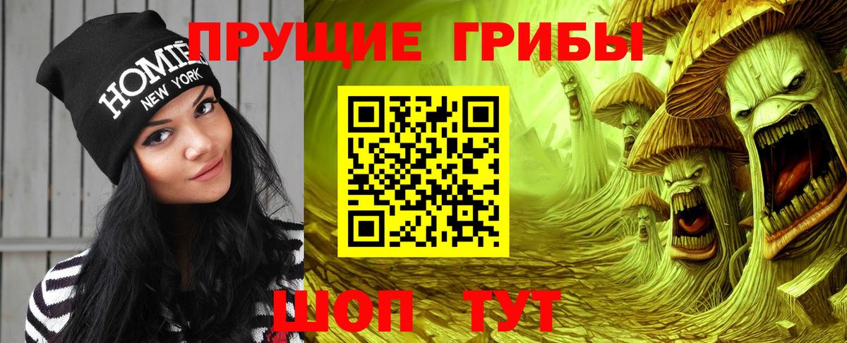 Галлюциногенные грибы мицелий Курчалой